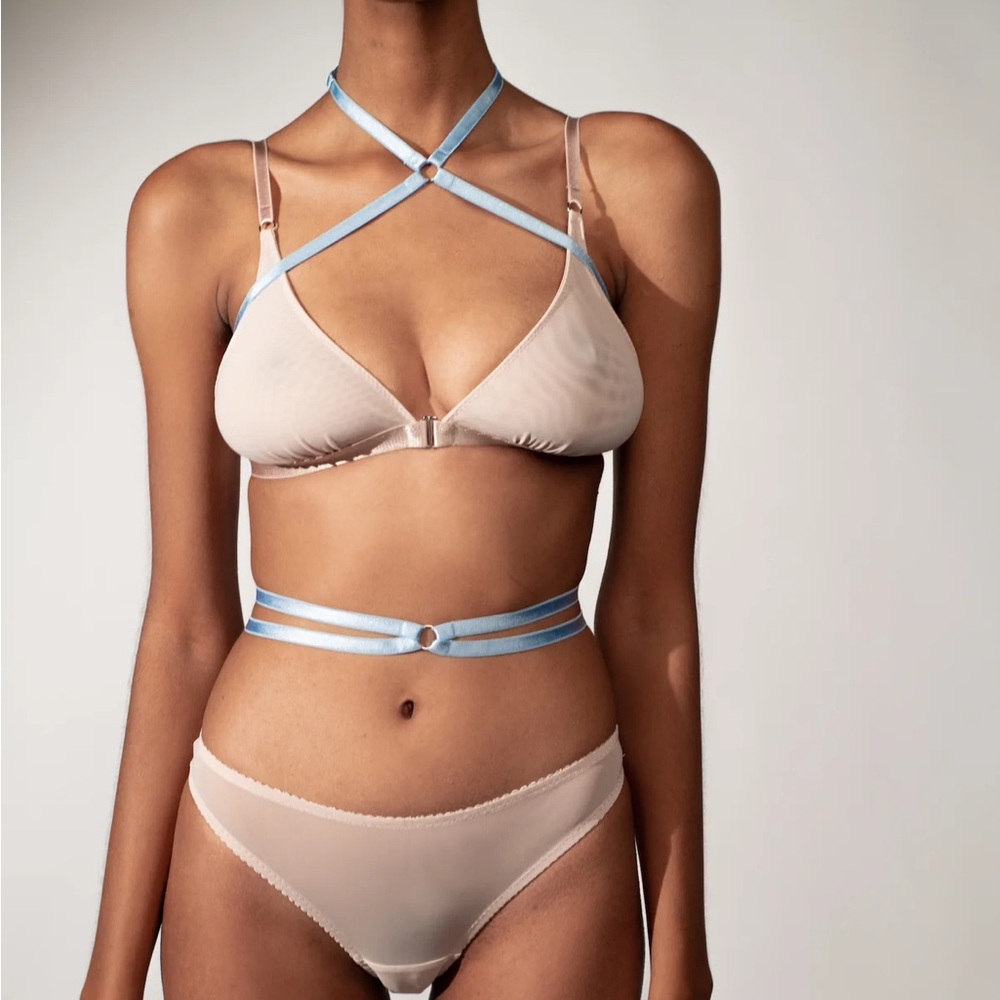 Love&Swans 🦢collar body💙